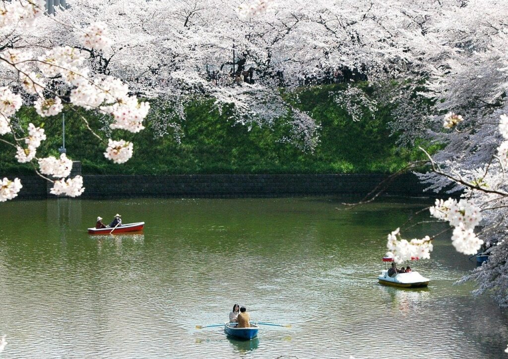 Kirschblühte im Vordergrund mit See und Boten mit Personen in Japan