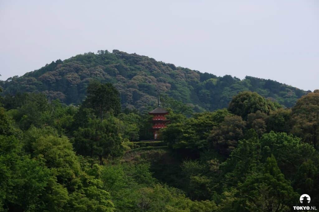 Rote Pagode inmitten eines dicht bewaldeten Berges, eingebettet in das üppige grüne Blätterdach japanischer Wälder