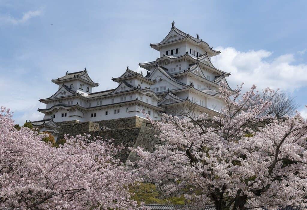Himeji-Burg umgeben von rosa Kirschblüten während der Sakura-Saison