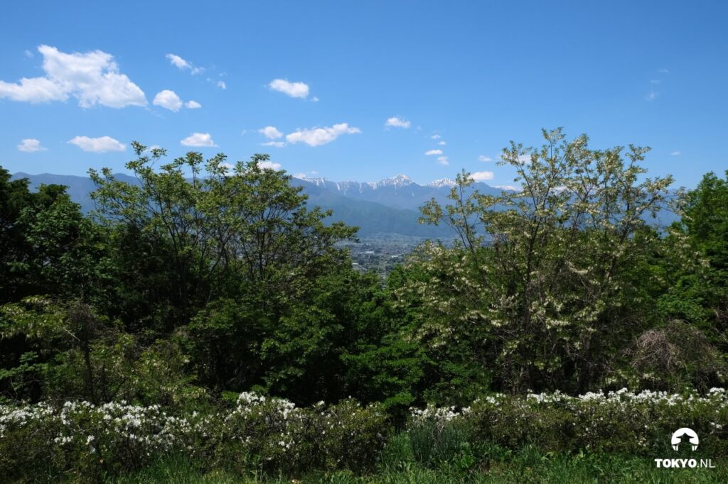 Aussicht auf die schneebedeckten japanischen Alpen hinter blühenden Frühlingsbäumen bei Matsumoto
