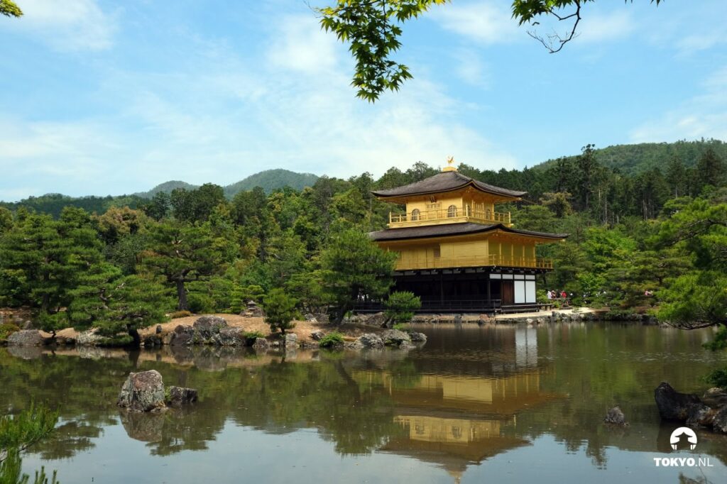 Another reflection view of Kinkaku-ji with its golden facade gleaming in the sunlight, surrounded by carefully maintained Japanese garden elements including shaped trees and strategic rock placements.