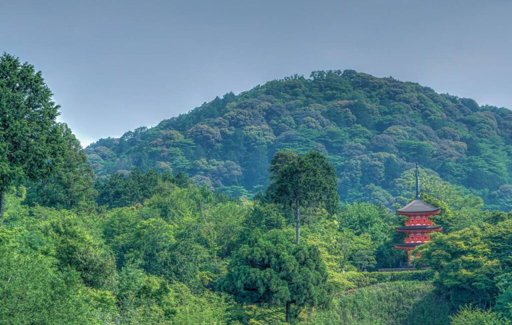Panoramablick auf die bewaldeten Berge um Kyoto mit der markanten roten Pagoda des Kiyomizu-dera zwischen dichtem grünem Laubwerk