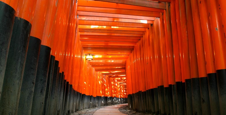 Beleuchteter Tunnel aus roten Torii-Toren am Abend im Fushimi Inari-Schrein