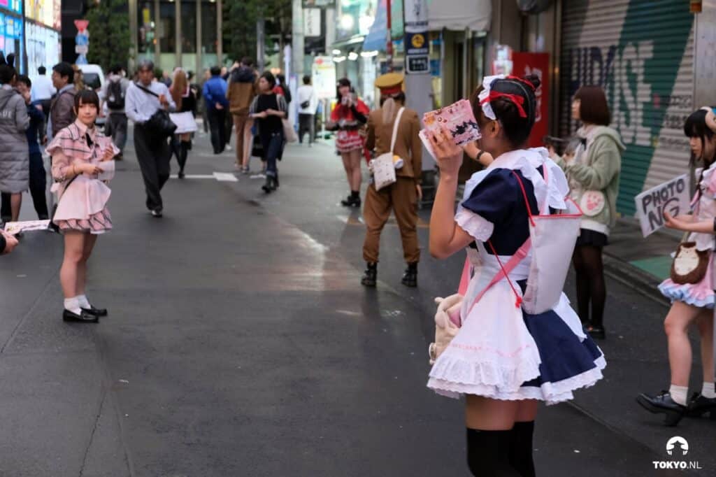 Maid Cafe’s in Akihabara