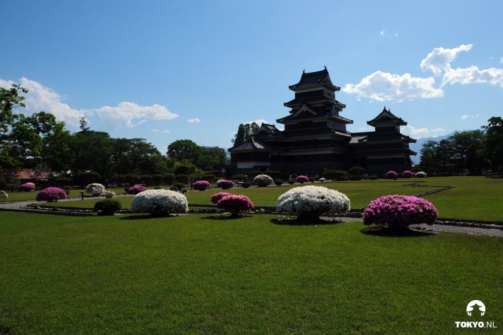 Matsumoto-Schloss im Hintergrund mit blühenden Azaleen im gepflegten Schlossgarten