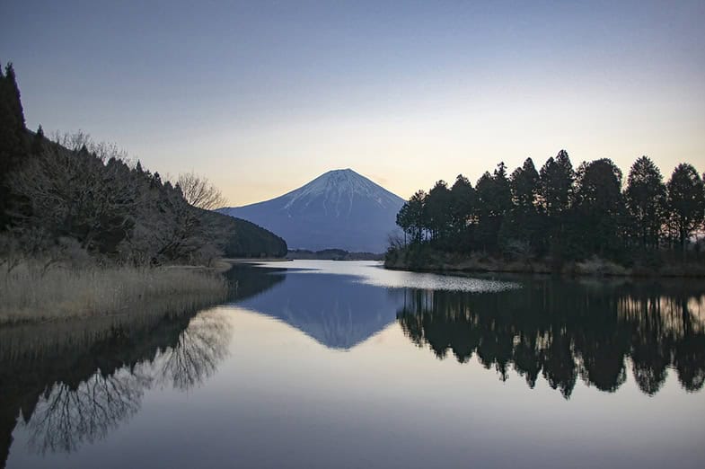 Mount Fuji in der Abenddämmerung mit perfekter Spiegelung in einem ruhigen Gewässer, umgeben von Schilfgras und Bäumen