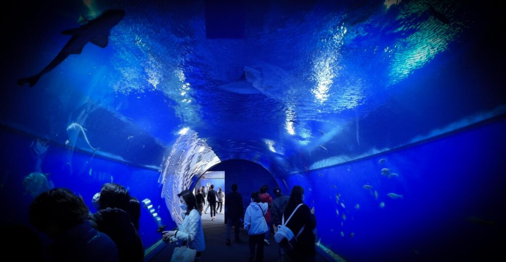 Unterwassertunnel im Osaka Aquarium Kaiyukan mit Besuchern, die Meerestiere durch die Glaswände beobachten