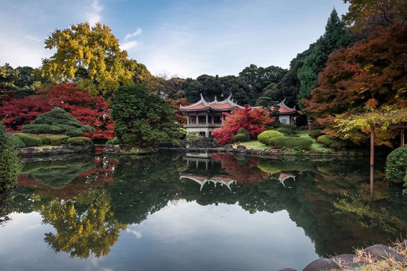 Shinjuku Gyoen National Garden im Herbst mit traditionellem japanischen Teehaus am Ufer eines spiegelglatten Teiches, umgeben von leuchtend rotem und goldenem Herbstlaub, das sich perfekt im Wasser spiegelt.