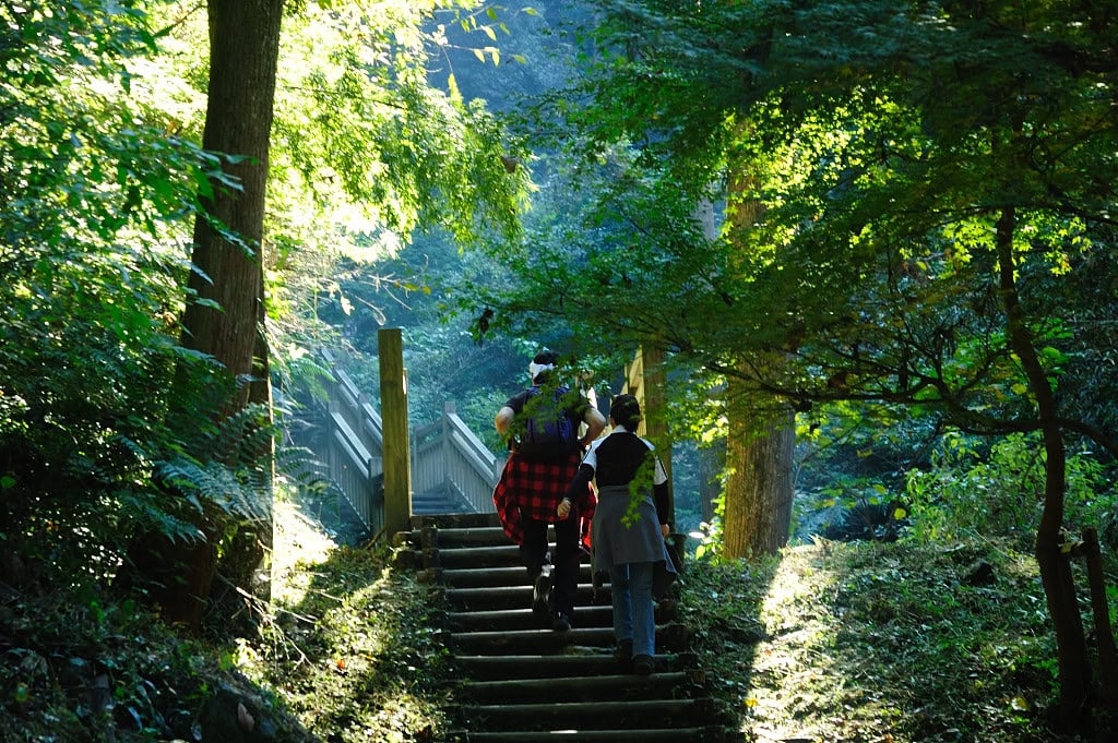 Wanderweg im Grünen