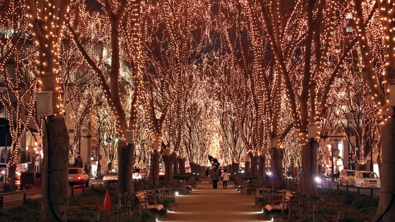 Jozenji-Dori in Sendai bei der Pageant of Starlight Winterbeleuchtung mit tausenden LED-Lichtern in den Bäumen
