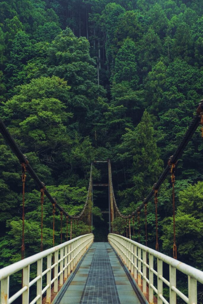 Schmale Hängebrücke inmitten dichter grüner Wälder auf Shikoku, ein beliebtes Ziel für Wanderer und Abenteurer