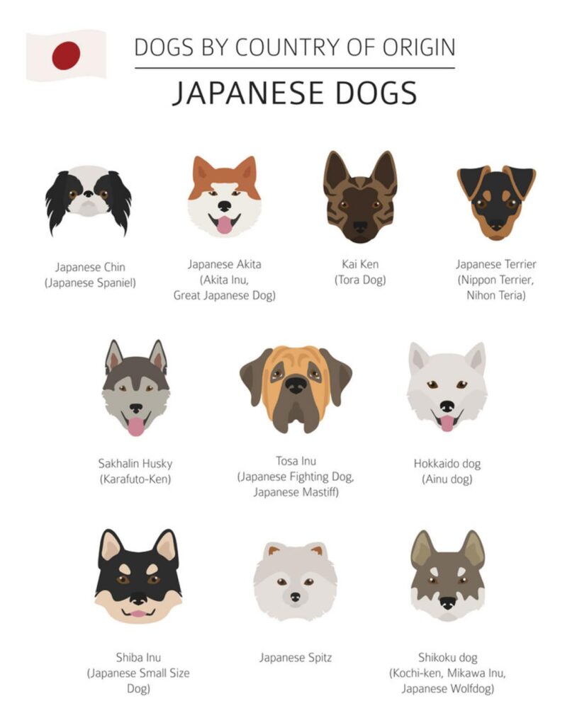 Japanische Hunderassen
